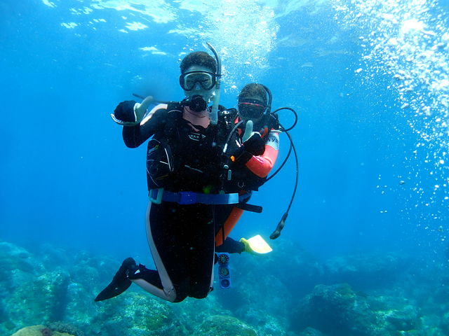 DIVINGSCHOOL&PROSHOP GREETDIVERS グリートダイバーズ