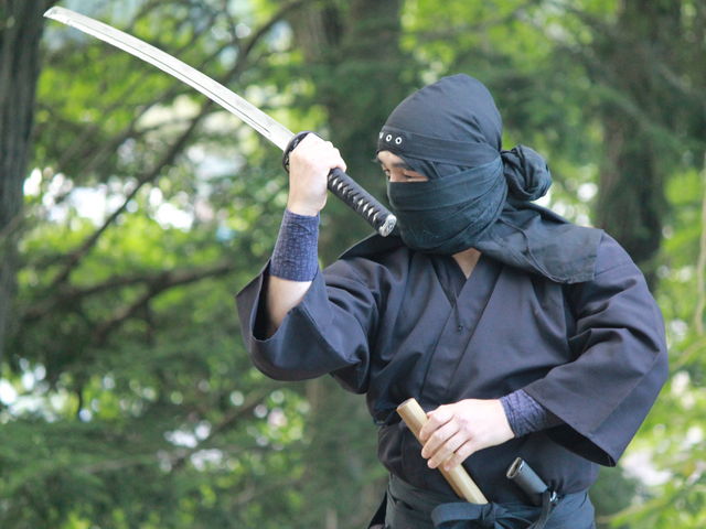 野忍風魔忍術道場