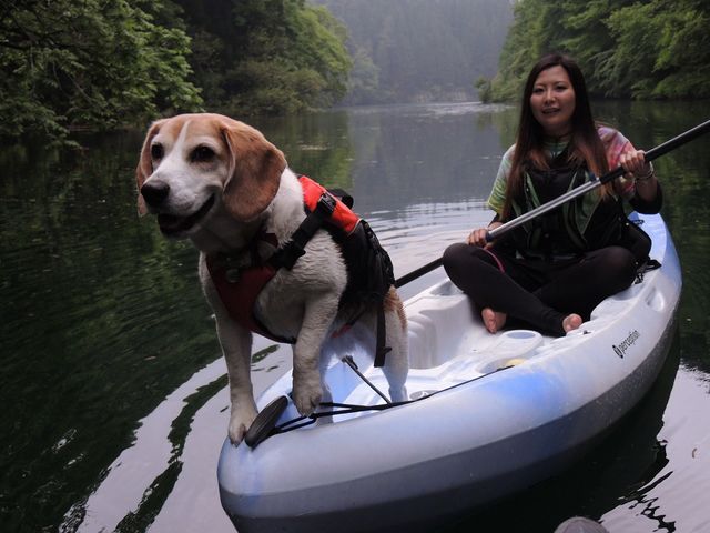 愛犬と一緒にカヌーに乗ろう!わんわんカヌーツアー。_ウィズスポーツ