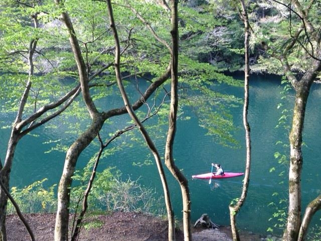 緑の森に囲まれた細長く蛇行した湖。_みたけカヌー教室