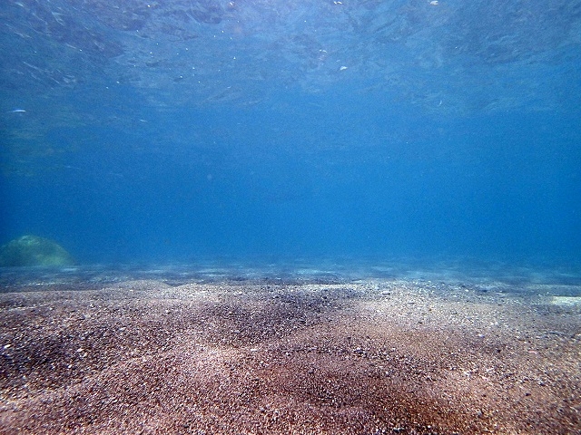 水中から見る波打ち際は?_エントリーダイビングスクール 新島ダイビングセンター