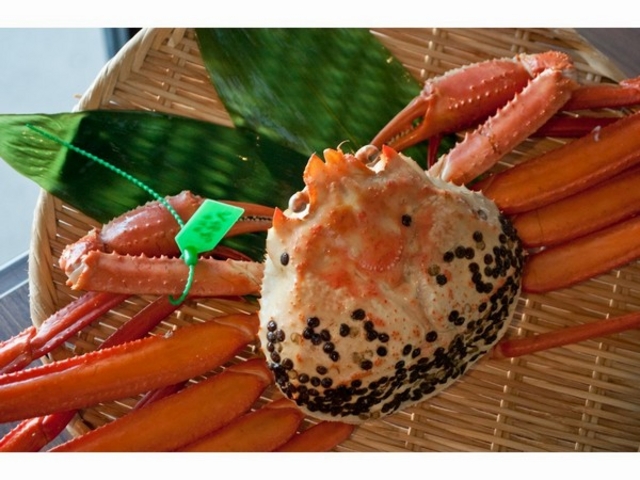 タグ付きガニもご用意!_セントラーレ・ホテル京丹後