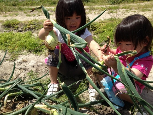 安冨白土瓦「かわらや」