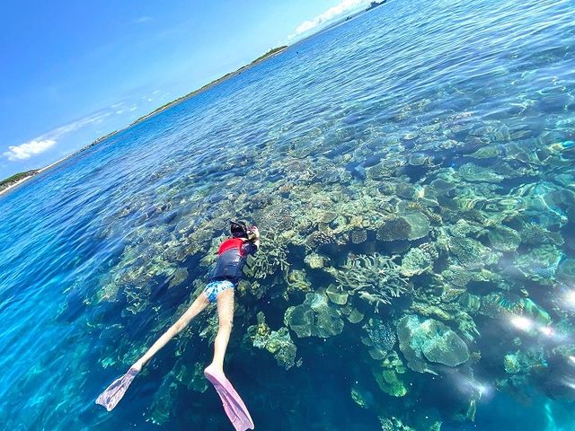 最高のロケーション♪さすがケラマ!透明抜群です☆_慶良間(ケラマ)海域半日ツアー専門店 OPG