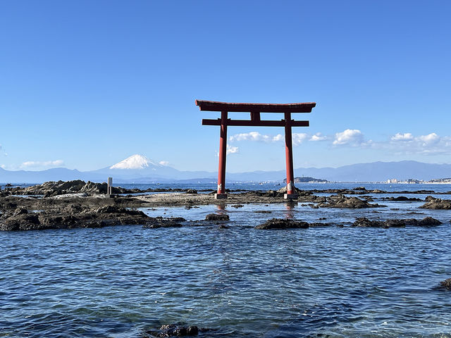コンディションが良い日はカヤックで名島に上陸ができます。_葉山セーリングカレッジ 葉山シーカヤッククラブ