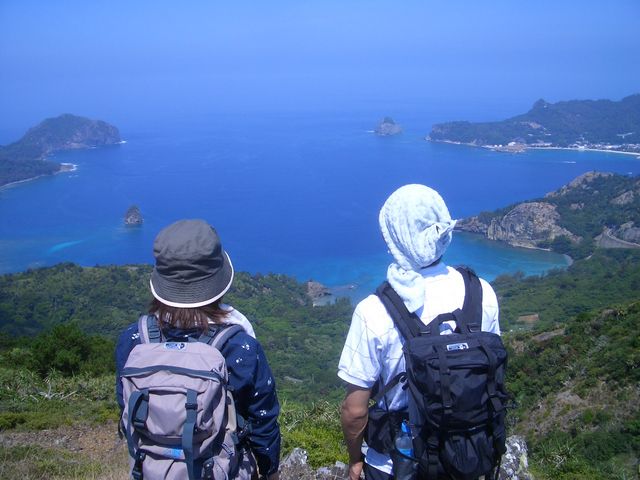 夜明山・傘山_マルベリー