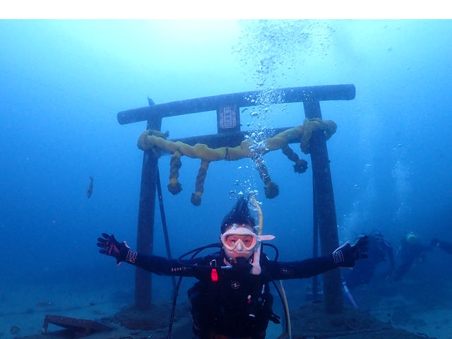 資格を取得して綺麗な南国の海へ!_館山ダイビングスクール マースダイビング