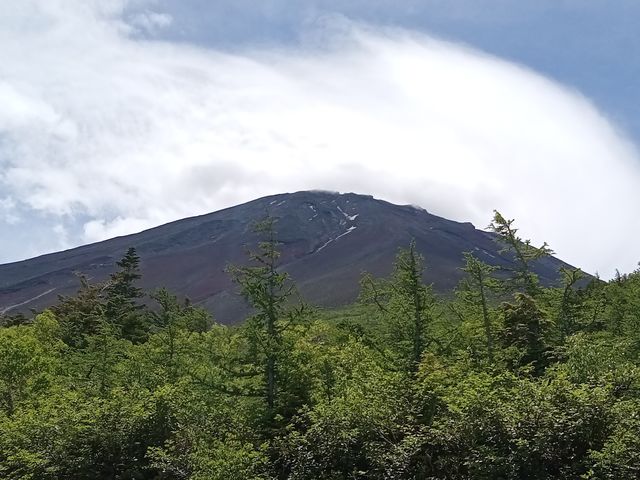 山梨側・5合目の遊歩道を空中散歩!_ふじざくら企画