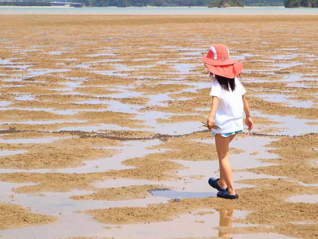 マングローブを抜けると広大な干潟!_屋我地エコツーネット