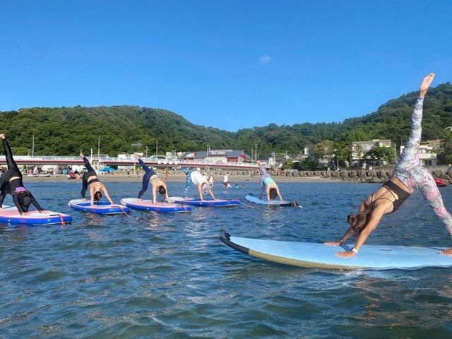 フライフィールド逗子