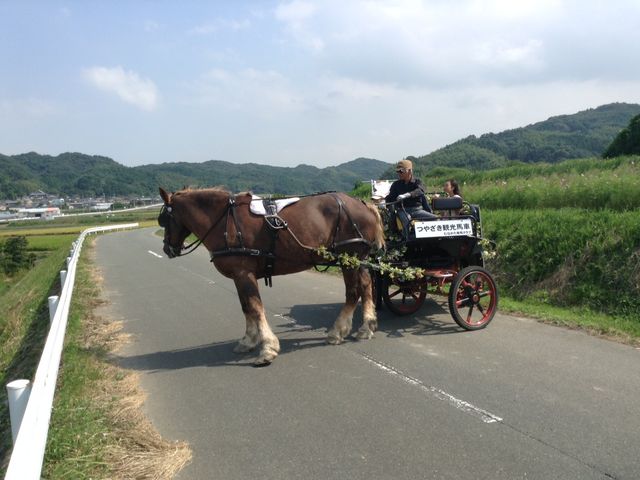 コンパクトな馬車なのでUターンもできます。_ホースプラン