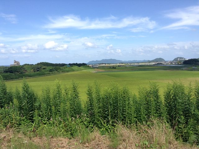 美しい津屋崎古墳群_ホースプラン