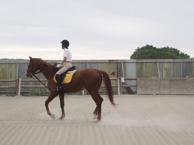 フジライディングパーク