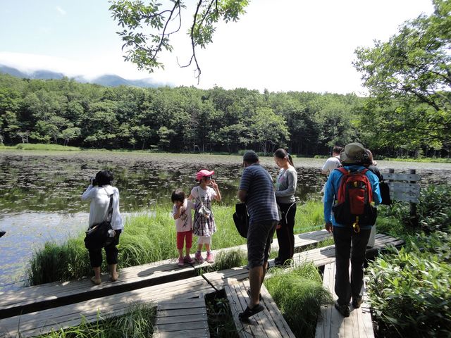 大自然の息吹を感じる知床五湖散策コース。人気です。_知床の案内人Rise