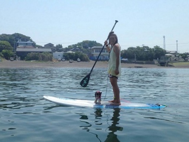 犬も一緒にSUP!_BeachBum DIVE&SUP