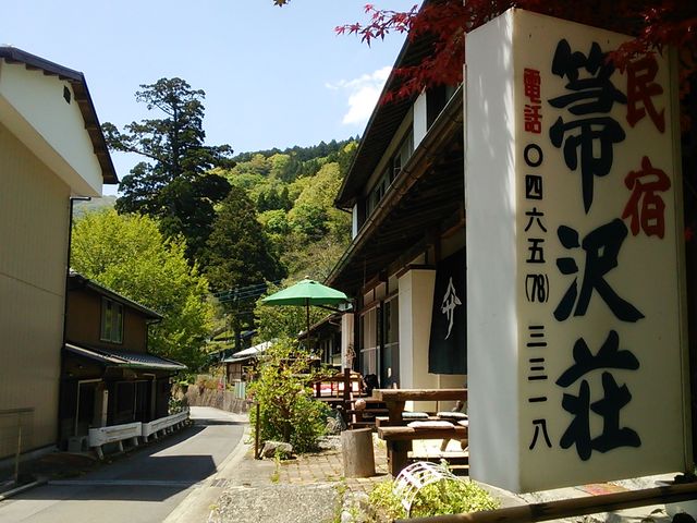 民宿より箒杉を望む_箒沢荘