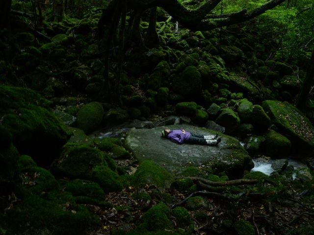 屋久島ガイドツアー