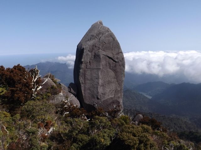 GO YAKUSHIMA