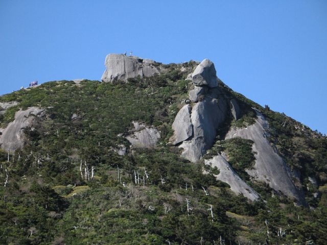 GO YAKUSHIMA