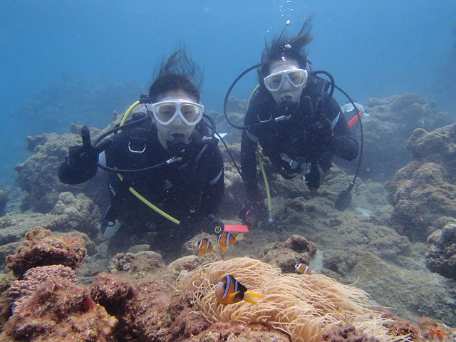 aquastyle