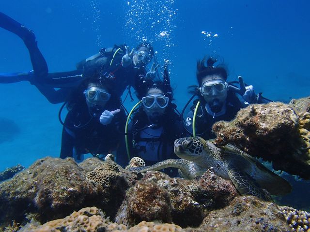 aquastyle