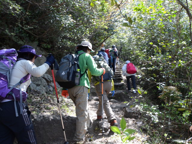 春の高隈登山_アウトドアショップキャメル