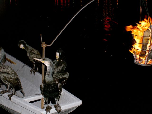 鵜飼イメージ_小京都の湯みくまホテル