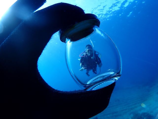 湘南DIVE.com