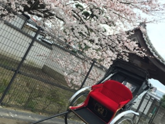 桜の季節の寺町散策_博多人力屋