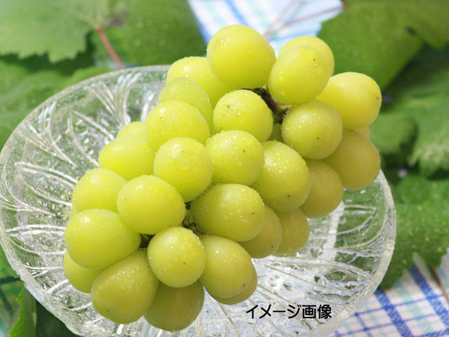 御坂農園グレープハウス