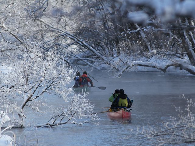 極寒の2月、霧氷の森に差し込む木漏れ日が美しい。_NatureTherapyProduceアトレーユ