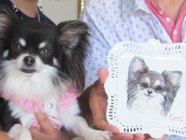 愛犬の絵柄をお皿に♪_食器ペインティング体験工房 青い玉葱
