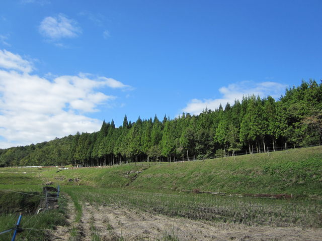 イモリ谷前足コース_イモリ谷フットパス