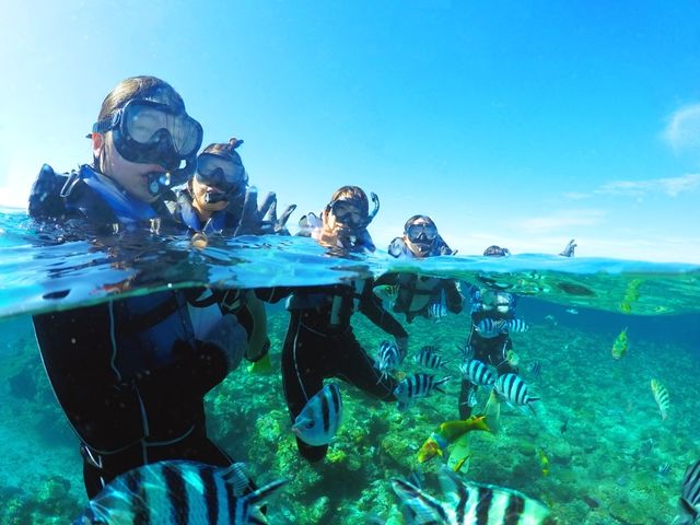 ★2024年じゃらん沖縄・那覇&慶良間諸島エリア・総合口コミランキング&パラセーリング部門口コミランキング第1位★_SeaWorld