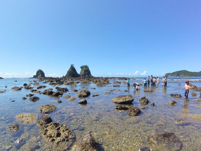 磯観察も楽しい!_エコサーファー