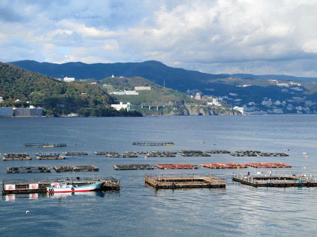 海上釣り堀太公望