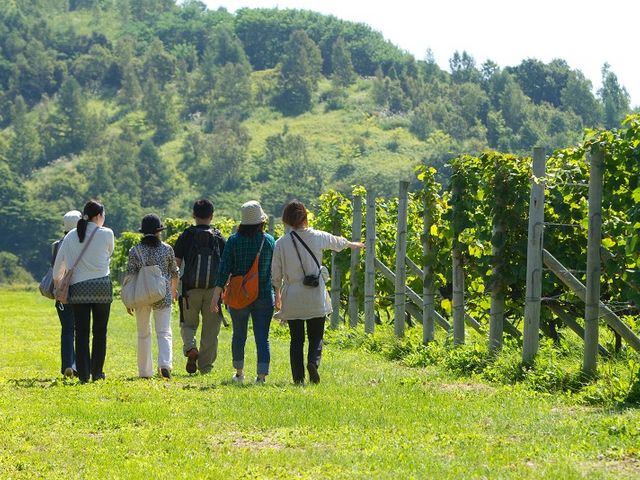 ワイナリー巡り_ゆっくりずむ 北海道