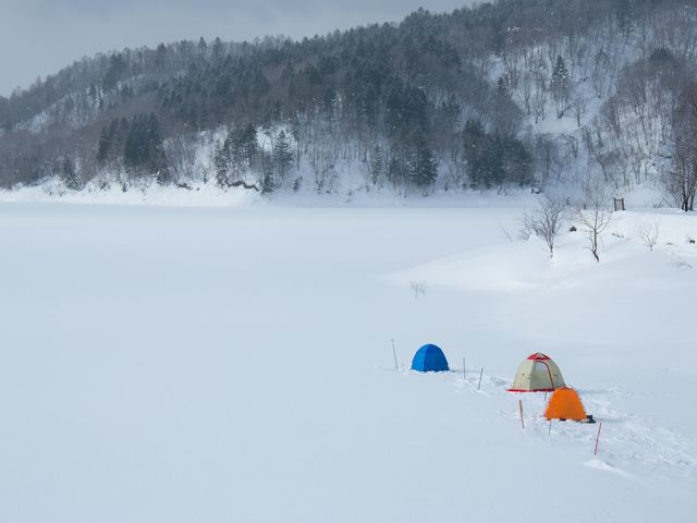 雪原_ゆっくりずむ 北海道
