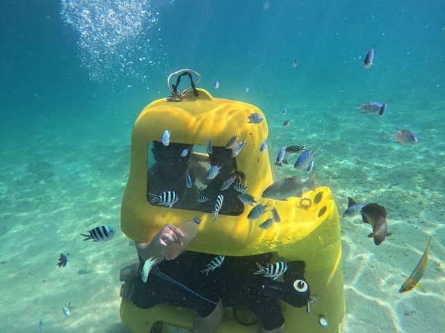 潜水スポットは、こだわり抜いた透明度抜群の海!_思い出販売所 美ら海