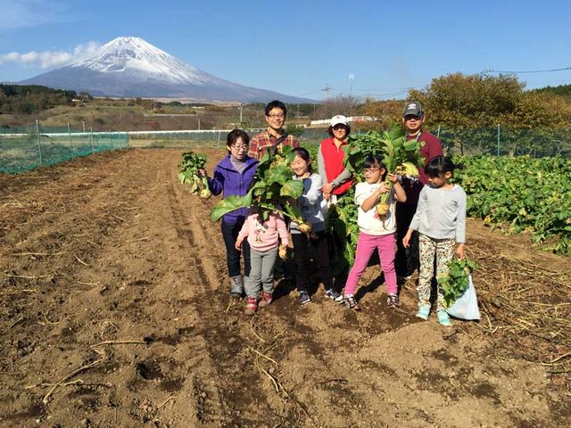 冬野菜の収穫体験_富士山ガーデンファーム