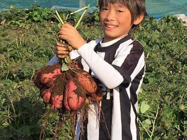 安納芋を収穫して大喜び_富士山ガーデンファーム