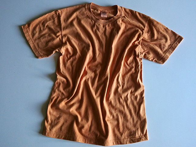 今帰仁の土で染色したTシャツサンプル_Botanica