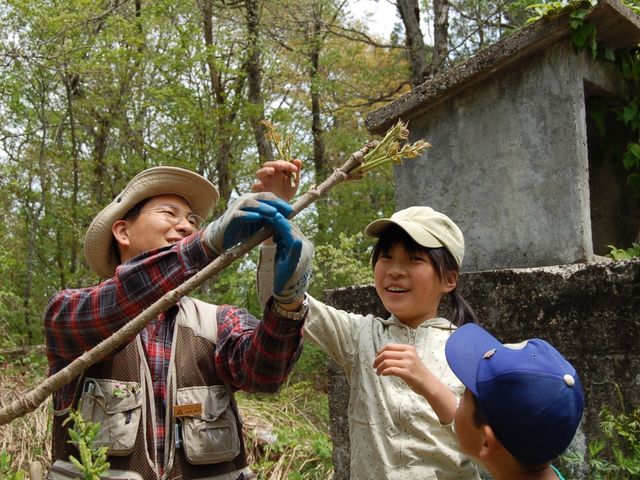 春のプログラム「山菜摘み」_トヨタ白川郷自然學校