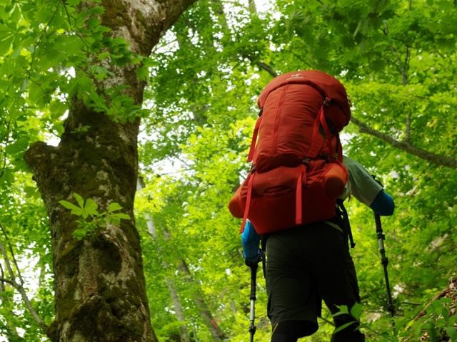 登山・トレッキング_トヨタ白川郷自然學校