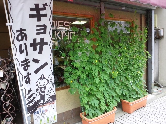 グリーンウォール_ギョサン取扱量世界一!?マツシタ靴店