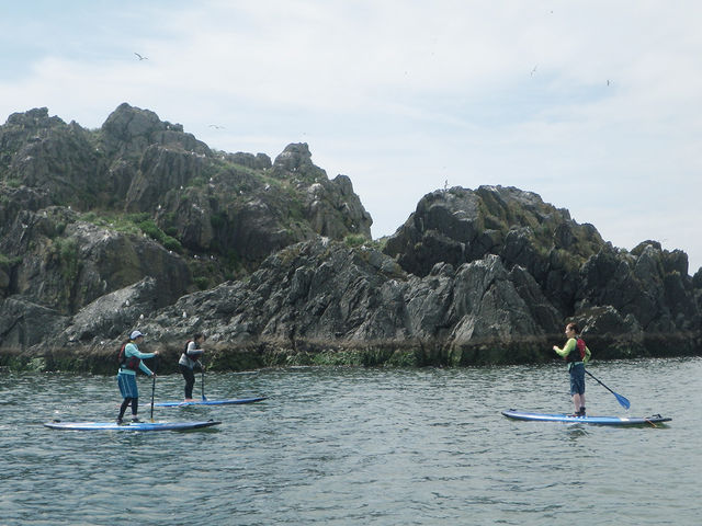 SUPA公認・SIJ認定・JSCA公認のSUPインストラクターが親切にレクチャー_OUTDOORBOX RIVERRUNS