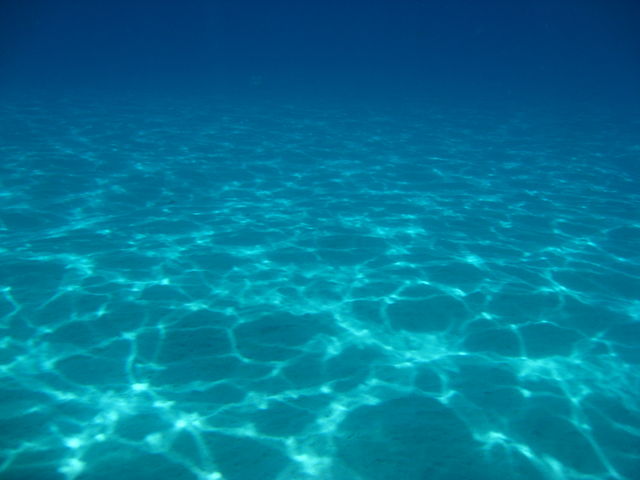 白い砂も水中ではきれいです。_Coco Dive