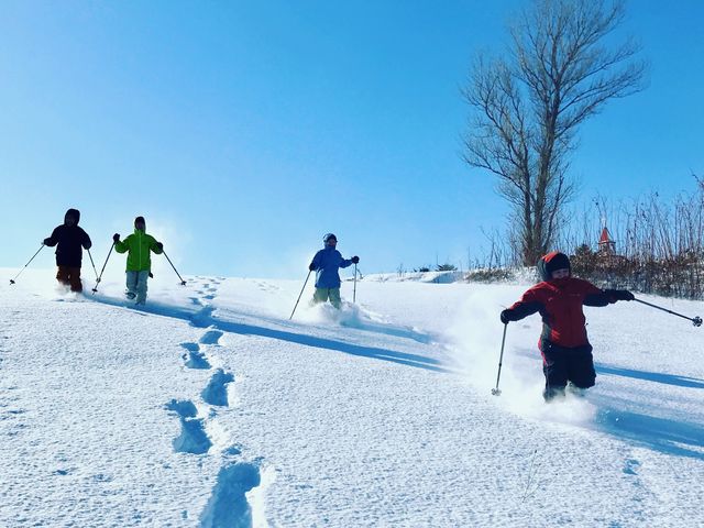 (SAN)SAPPORO ACTIVE NAVIGATION