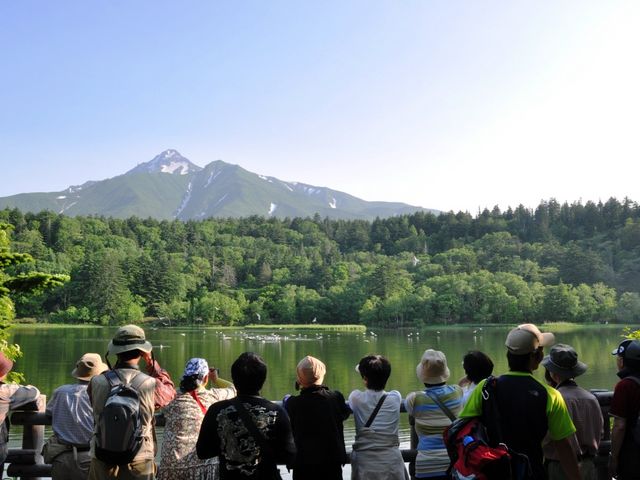 姫沼ガイドウォークA_利尻はなガイドクラブ