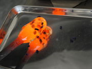 studio iiroの写真3